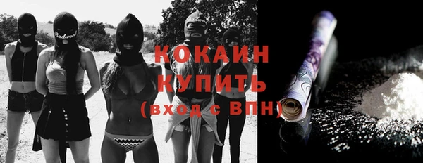 дживик Лагань