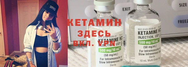 мяу мяу мука Лабытнанги