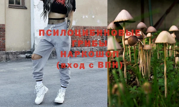мяу мяу мука Лабытнанги