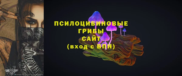 дживик Лагань
