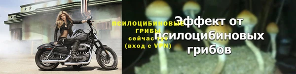 мяу мяу мука Лабытнанги