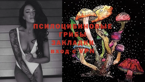 мяу мяу мука Лабытнанги