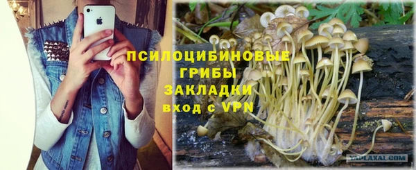 мяу мяу мука Лабытнанги