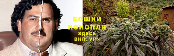 дживик Лагань