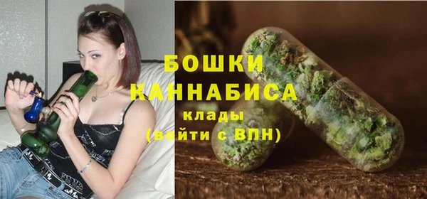 дживик Лагань