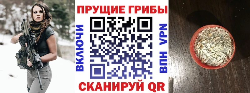 как найти наркотики  Рыбное  Псилоцибиновые грибы GOLDEN TEACHER 